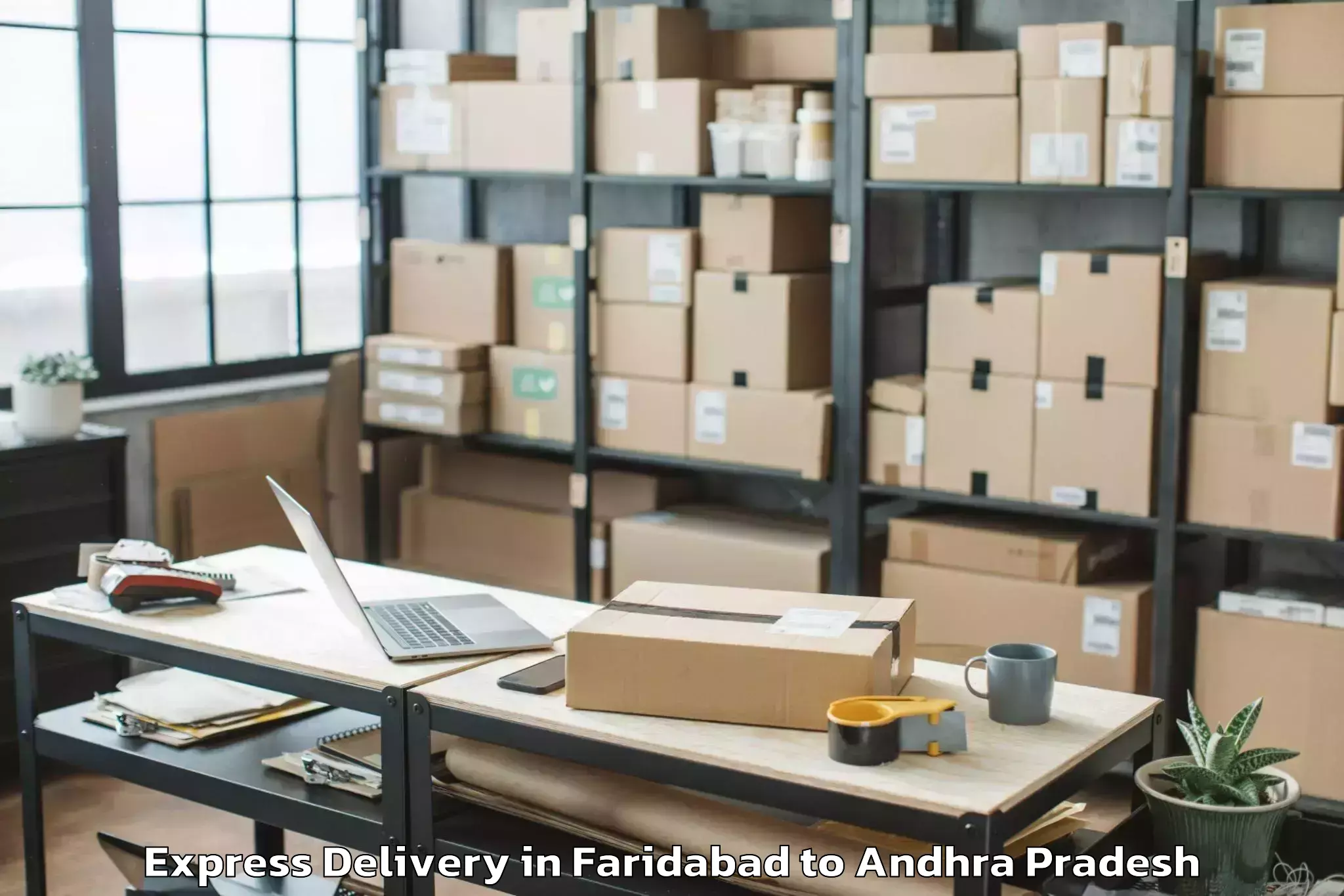 Expert Faridabad to Nadendla Express Delivery